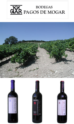 Presentacin Bodegas Pagos de Mogar