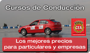 Cursos de Conducci�n