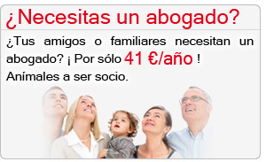 �Tus amigos o familiares necesitan un abogado?