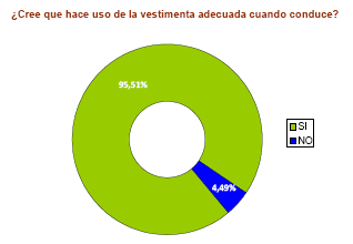 Cree que hace uso de la vestimenta adecuada cuando conduce?