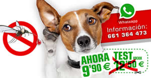 Ofertas Veterinario test de leishmania