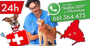 Ofertas Veterinario Madrid vacuna de la rabia