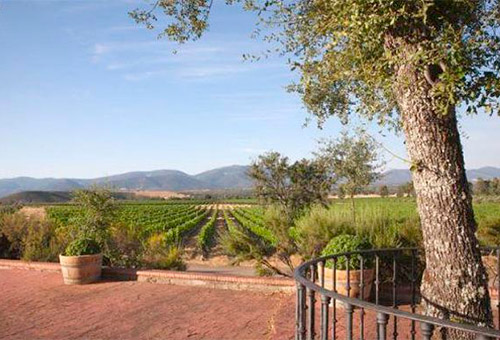 Cóctel presentación Bodegas Dehesa del Carrizal