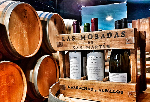Visita Bodega Las Moradas de San Martín