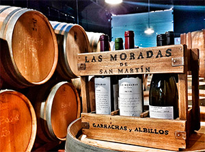 Visita Bodega Las Moradas de San Martín