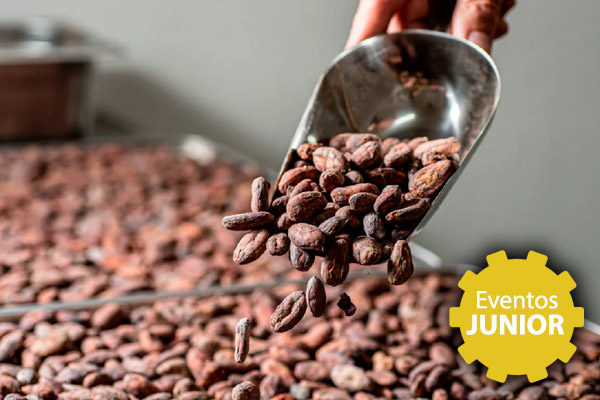 Visita a la fábrica de chocolate Kaicao