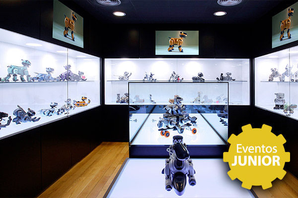 Visita a The Robot Museum