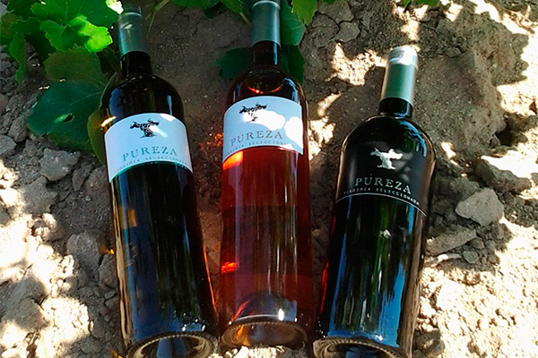 Presentación Vinos y Pureza y Garbancera Madrileña