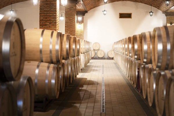 Presentación Bodegas Pago de la Jaraba