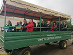 Visita Bodega Vinícola de Arganda