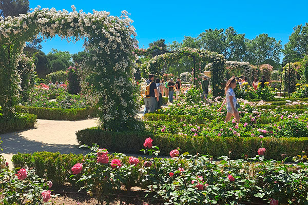 Tour guiado por el Parque del Retiro