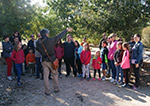 Parque Arqueológico de Carranque