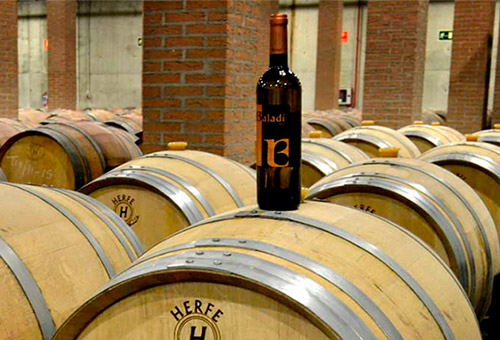 Visita Bodega Vinícola de Arganda