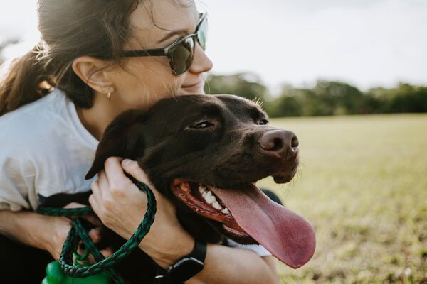 Es obligatorio tener el seguro de responsabilidad civil para perros