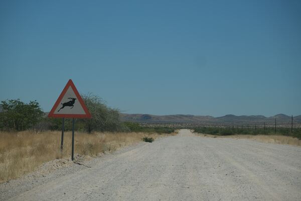 señal animales carretera