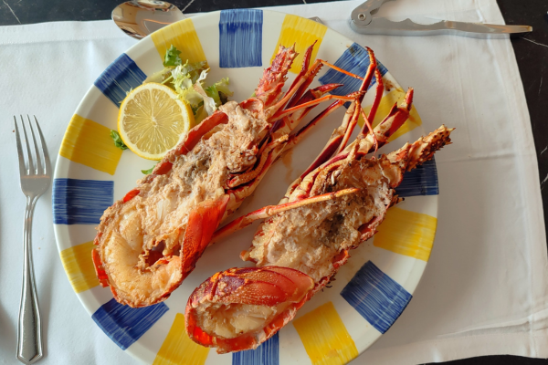 Una propuesta moderna y auténtica para el paladar